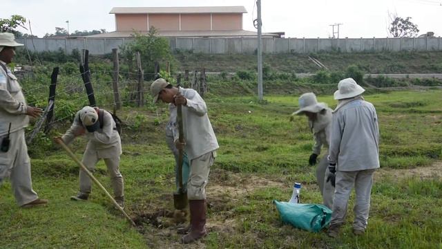 Laos: Clearing and destroying cluster bombs смотреть онлайн