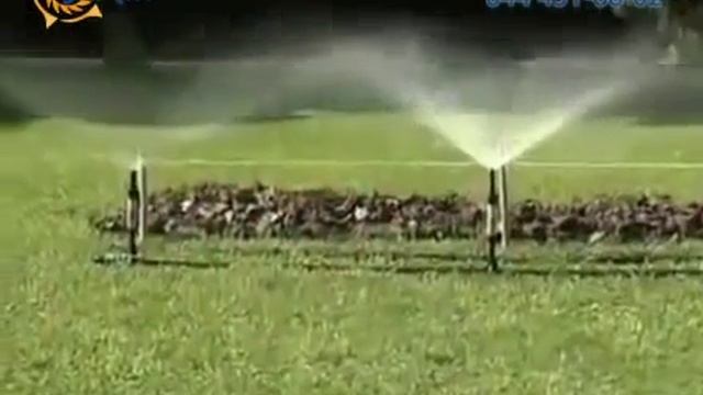 Устройство для автополивв газона