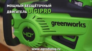 Аккумуляторная пила Greenworks GD40CS20X