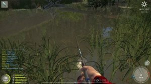 Русская рыбалка 4 - река Вьюнок - Тест колебалок Veikko