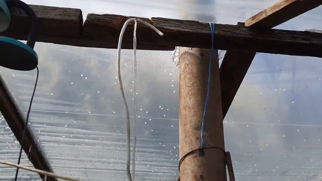 Какую пользу приносит теплице вентилятор! смотреть онлайн