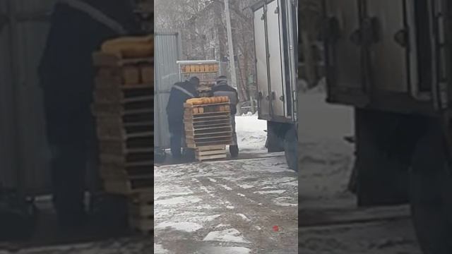 Загрузка хлеба в Перми смотреть онлайн