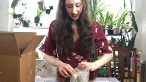 Hirt's Garden Unboxing #2 - Herbs and Spices