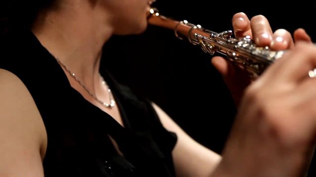 Kyle Randall - Tarantella for two flutes - Siroko Duo смотреть онлайн