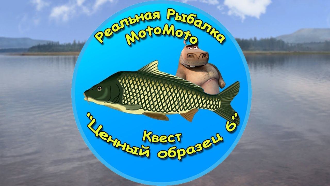Квест 