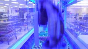 Альбумин анализ крови, норма?