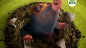 airwick russian racoon 450x360 h264