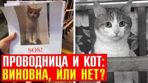 Мои ответы тем, кто защищает проводницу, выкинувшую кота на мороз из вагона, по-пунктам!