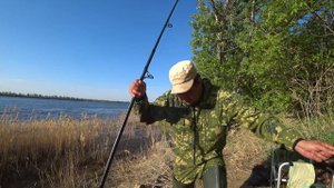 #10 Рыбалка с Берега на Реке Волге. Ловля Красноперого Голавля на Донку Фидер