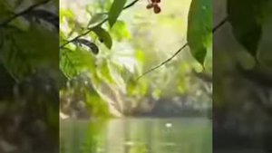 Мы хотим с вами быть, на небесных высотах.