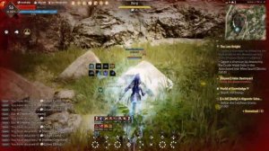 Black Desert PvP Witch 4v1