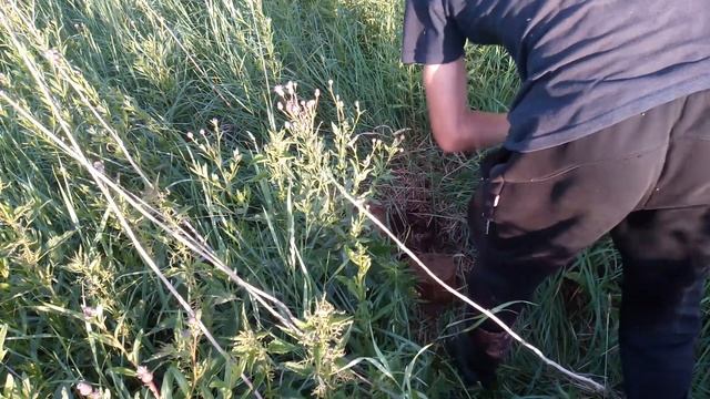 Металлокоп. Новая локация. Бью битые места! смотреть онлайн