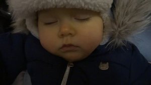 Марфа храпит после прогулки. Нам 10 месяцев.