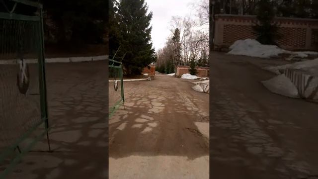 Низино 2019 ч 7