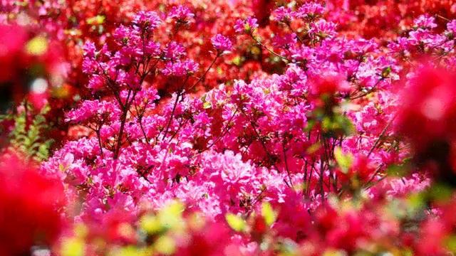 Моим дорогим друзьям смотреть онлайн