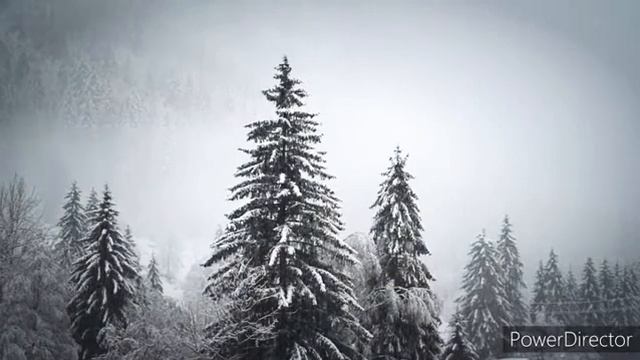 НРАВИТЬСЯ МОЛЧАТЬ #стихипролюбовь #творчество #талант #томск #стихи #28лет смотреть онлайн