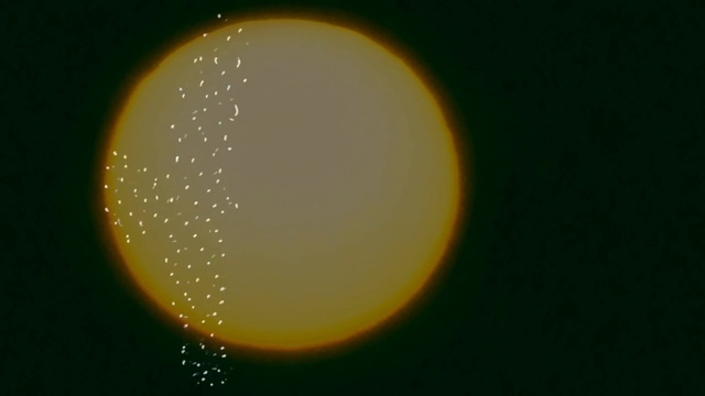 Ольга Арефьева и Ковчег - Длинная смотреть онлайн