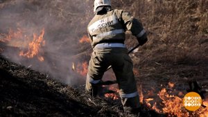 Горим! Доброе утро. Фрагмент выпуска от 14.05.2021