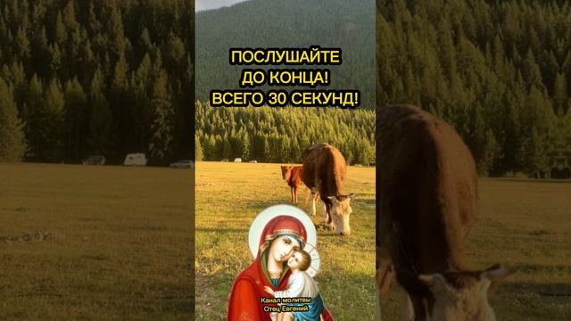 Самый сильный день в году! Послушайте и сбудется!