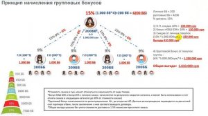 Маркетинг план Орифлэйм.  Узбекистан