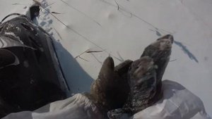 Катаюсь на снегоходе (лопнул ремень вариатора)