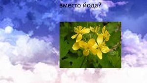 Викторина БУДЬ ЗДОРОВ (к Всемирному дню здоровья)