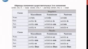 Имя существительное в Латинском языке.