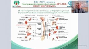 Блуждающий нерв, вегетативная нервная система