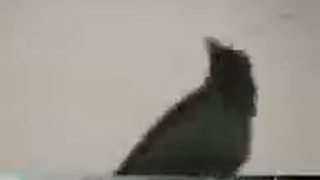 знамение АЛЛАХА.vorona.3gp смотреть онлайн