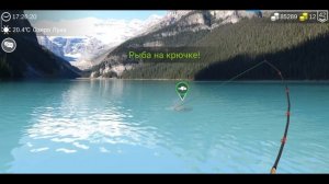 БОЛЬШЕРОТЫЙ БУФФАЛО ловим на разных локациях #MyFishingworld