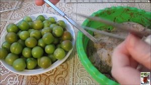 КУРИЦА ГРИЛЬ НА ВЕРТЕЛЕ ДОМА в мини печи GF 030 GRILL PLUS