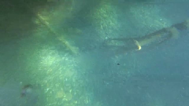 Танкер "Эмба".Подводный мир.Мидии.29.08.2020. смотреть онлайн