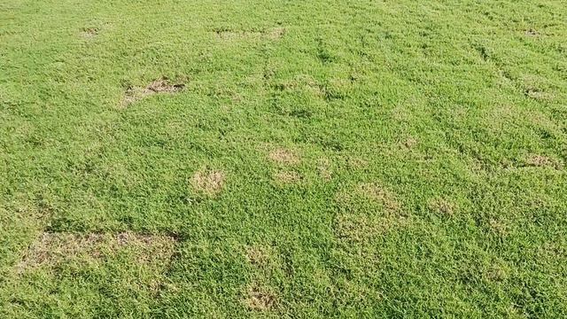 Потому что нельзя быть красивым таким! Стадион в Тибида ( Луизиана) - смотреть онлайн