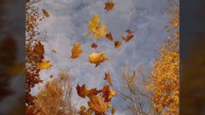 Клип на песню из к/ф "Сваты" Мой календарь