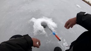 Ловля карася зимой со льда. Как поймать и где искать карася зимой. Последний лёд!