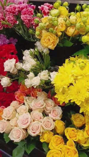 Весеннее настроение. Цветы. Любовь / Spring mood. Flowers. Love #москва #весна #цветы #любовь #love
