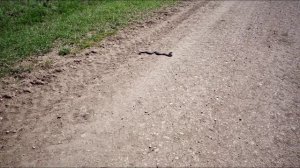 Покатушка на Водохранилище Карабаш/На Велосипеде 90 Километров #карабаш #mtb