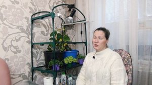 Стеллаж для рассады легко собрать. Удобно использовать дома и в саду