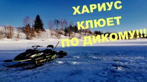 ВЕСНА ИДЕТ ПО ПЯТАМ! ЛЕД ТРЕЩИТ! БУРЛАК АЗИМУТ ЛЕТИТ ПО НАСТУ! ОТЛИЧНЫЙ КЛЕВ ХАРИУСА.