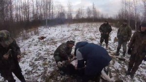 Разделка добытого лося после удачной Охоты.