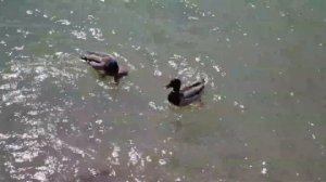 Абрау Времена года