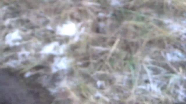 Atradumi, "lidojošā" zivs un sudraba monētiņas/Finds, "flying" fish and silver coins.RUS.sub. смотреть онлайн