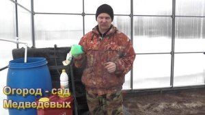 Дезинфекция теплицы весной