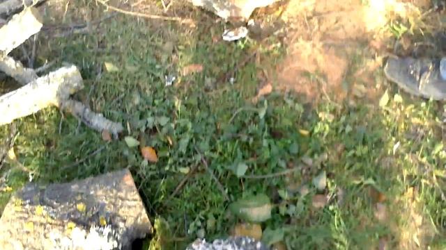 Бензопила Husqvarna 240 смотреть онлайн