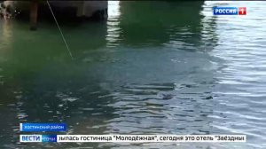 2020 Богоявление, Крестный ход