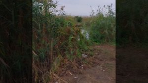 Республика Дагестан 
средний канал