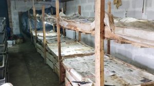 Дополнительный заработок  на разведении червей для рыбалки