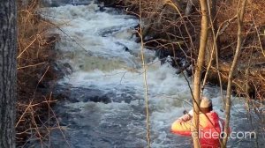 Выход реки в Финский залив