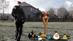 Angry Birds Seasons In Real Life