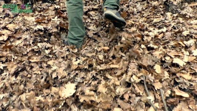 Пещера отшельника Татарское городище Скала кит Каменная ниша Водопад